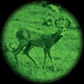 green-night-vision-1.jpg