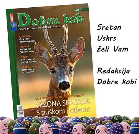 dobra-kob-uskrs-cestitka-2014