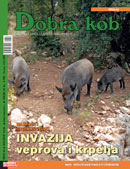 DOBRA-KOB-83-130