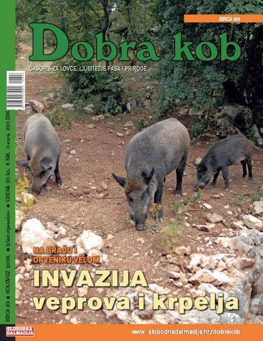 DOBRA-KOB-83-515