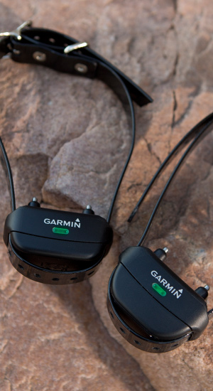 garmin-barklimiter 2