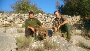 Norveški lovac stekao izuzetne trofeje muflona na Dugom Otoku