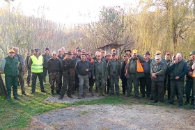 Gostinjski lov u lovištu ruševačkog Fazana - pale četiri divlje svinje